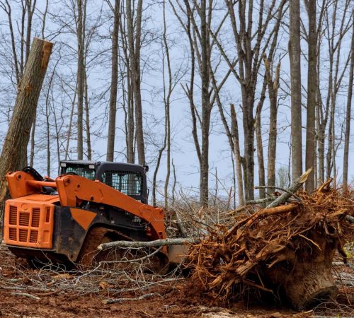 kh-excavating-and-land-clearing-013